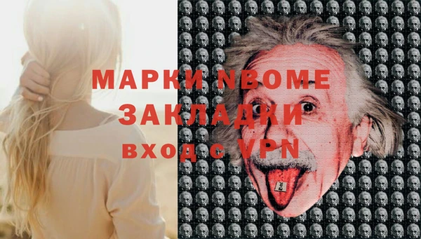ГАЛЛЮЦИНОГЕННЫЕ ГРИБЫ Инсар