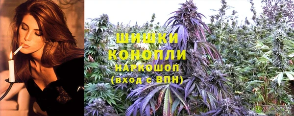 ГАЛЛЮЦИНОГЕННЫЕ ГРИБЫ Инсар