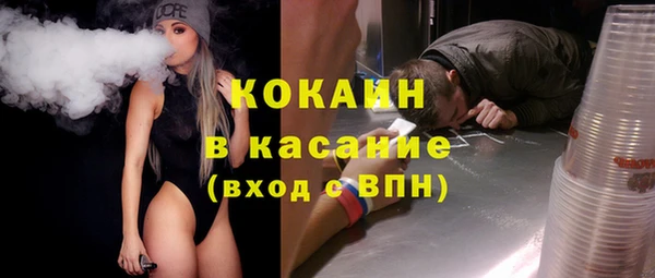 ГАЛЛЮЦИНОГЕННЫЕ ГРИБЫ Инсар