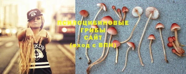 ГАЛЛЮЦИНОГЕННЫЕ ГРИБЫ Инсар
