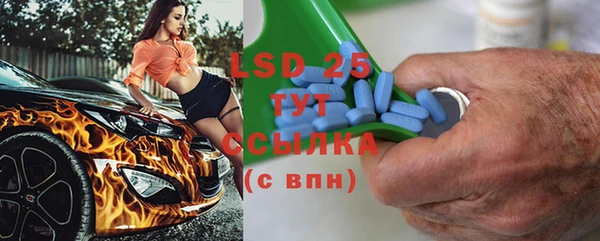 ГАЛЛЮЦИНОГЕННЫЕ ГРИБЫ Инсар