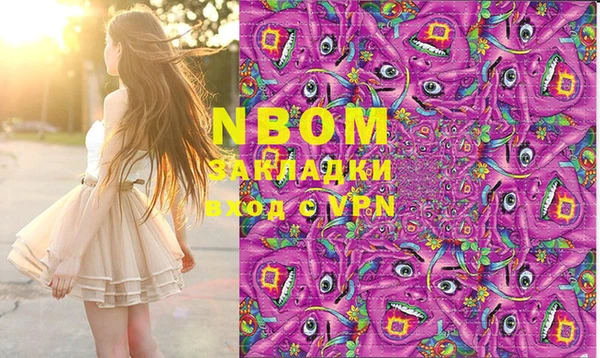 ГАЛЛЮЦИНОГЕННЫЕ ГРИБЫ Инсар