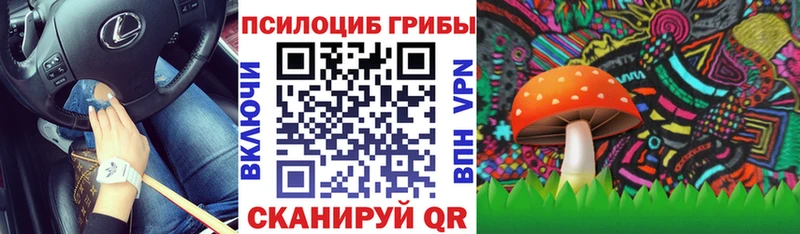 Псилоцибиновые грибы Magic Shrooms  Купить  Белоозёрский 